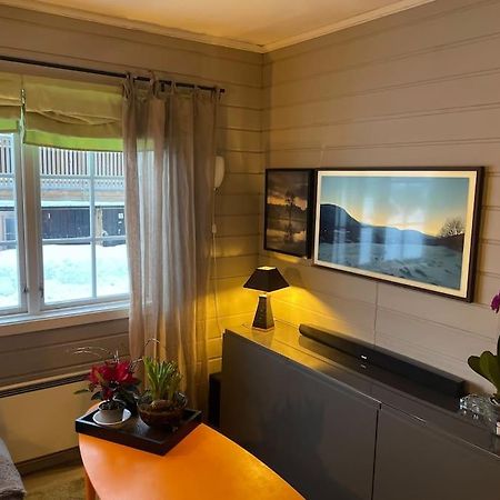 Koselig Leilighet , Med Parkering Og Ski In &Out. Daire Oppdal Dış mekan fotoğraf