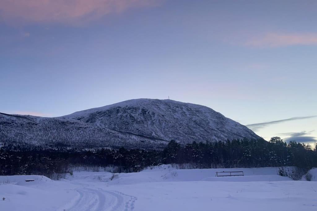 Koselig Leilighet , Med Parkering Og Ski In &Out. Daire Oppdal Dış mekan fotoğraf