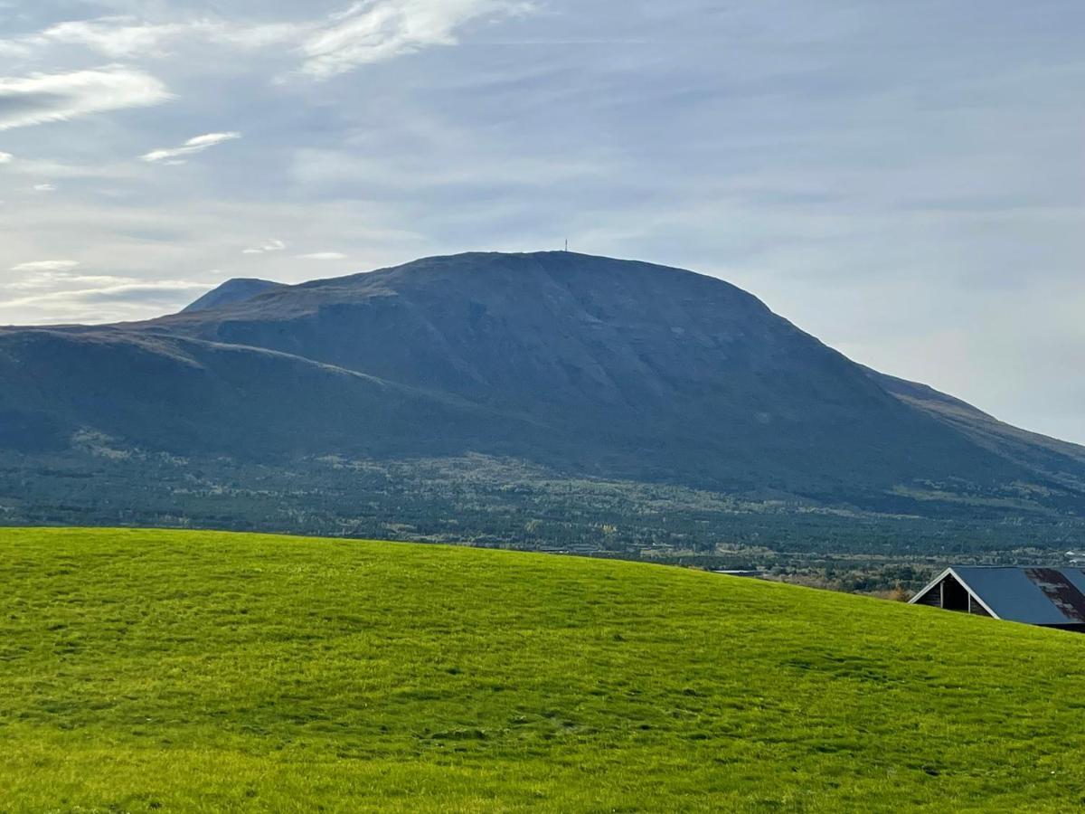 Koselig Leilighet , Med Parkering Og Ski In &Out. Daire Oppdal Dış mekan fotoğraf